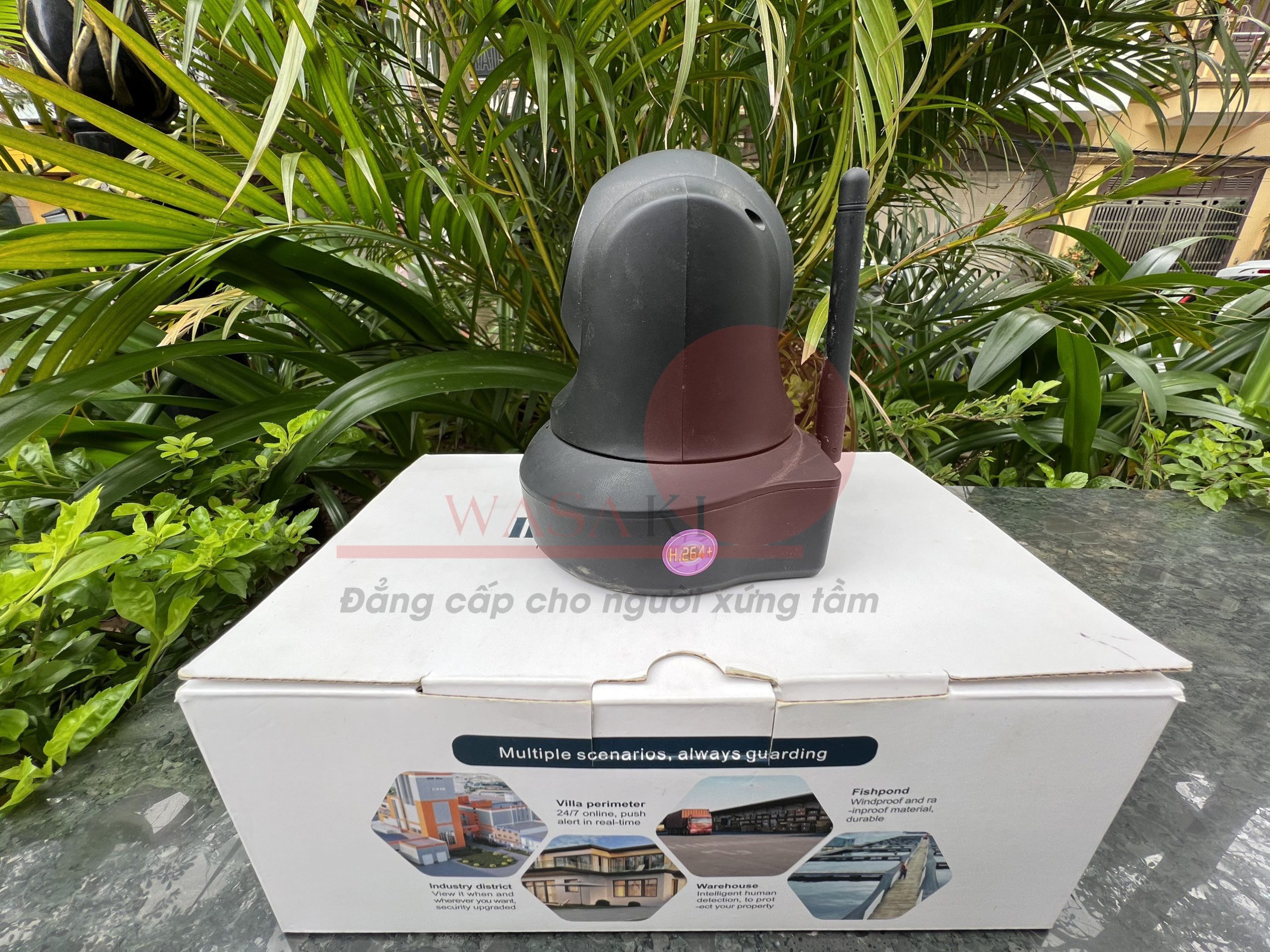 Camera-wt-01a-wasaki-4