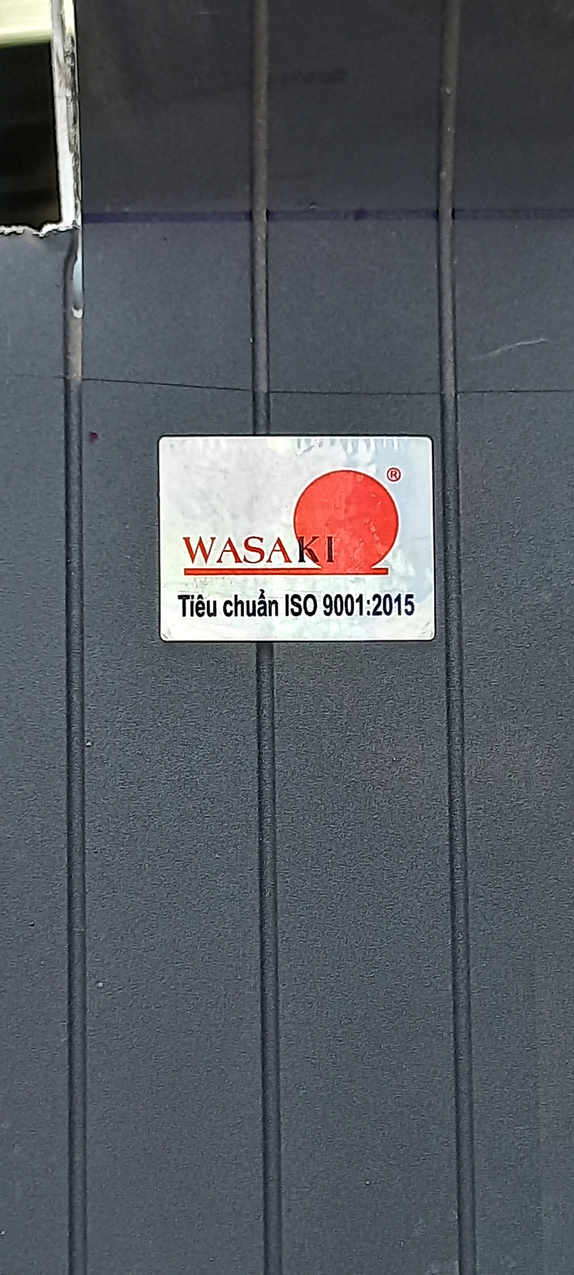 Tem-kiem-dinh-cua-wasaki-4