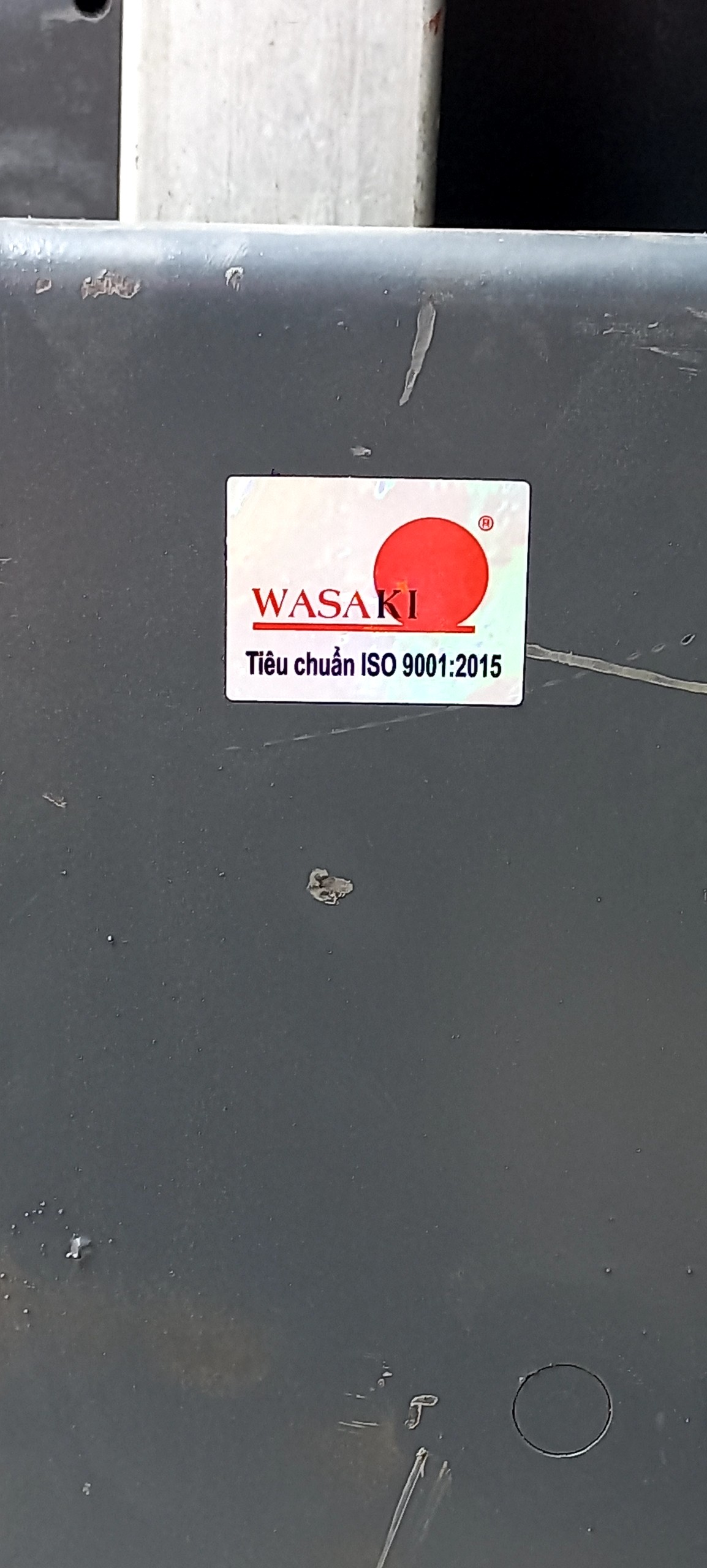 Tem-kiem-dinh-cua-wasaki-5